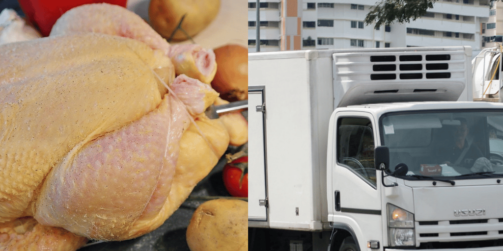 poultry-lorry-transportation